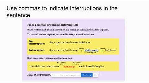 Using Commas with Interrupters