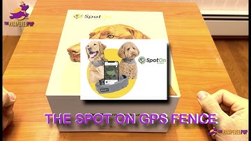 SpotOn GPS Dog Fence Unboxing