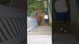 Download Lagu paet tow our crismistree is stil hear😱😱😱😱😱 MP3