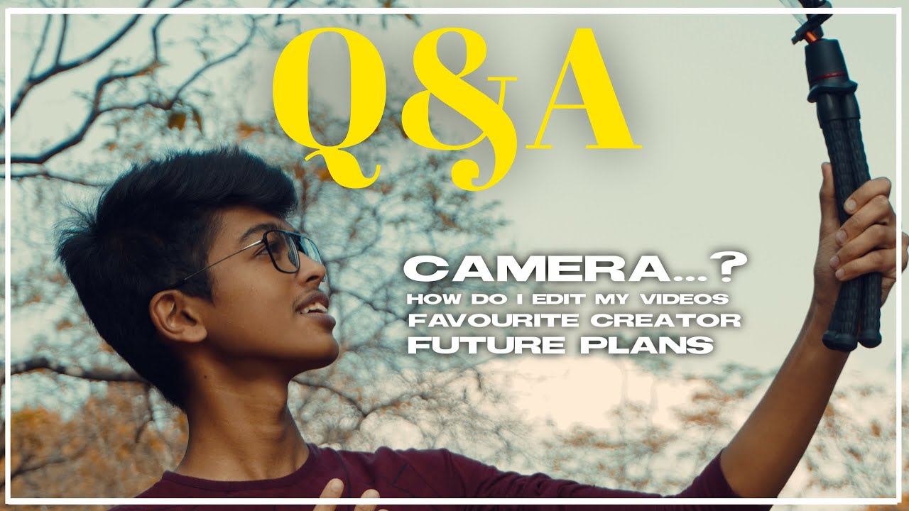 Q&A