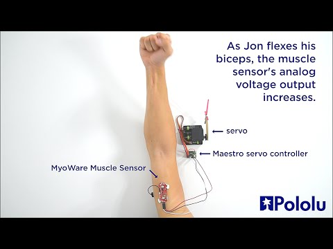 MyoWare Muscle Sensor demonstration with Maestro Servo Controller