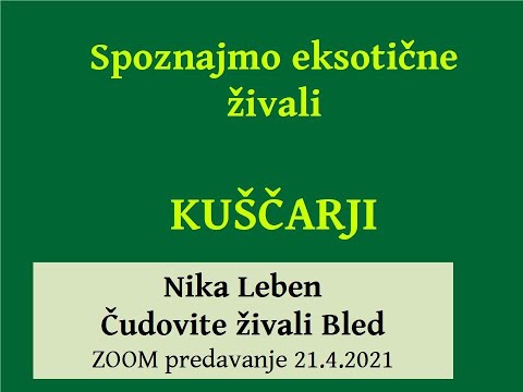 KUŠČARJI kot hišni ljubljenčki