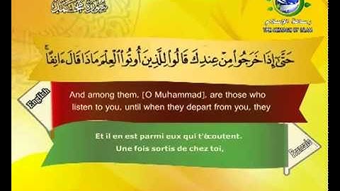 سورة محمد بصوت سعد الغامدي Surat Muhammad by Saad Al-Ghamdy