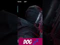Dog sleeping #rainbowsixsiegeclips