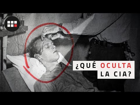 Video: Flying cat Orvillecopter - una nueva palabra en taxidermia