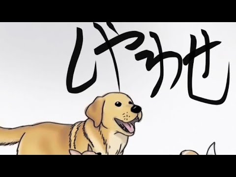 小川大地 - YouTube