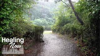 Heavy Rain Sounds for Deep Sleep & Relaxation | Pure Nature White Noise for Focus & Calming Mind screenshot 5