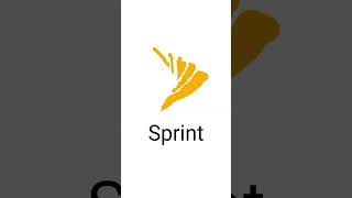 Samsung Galaxy S8 Sprint Startup And Shutdown