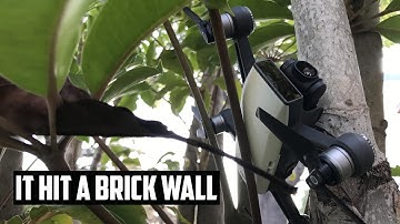 DJI SPARK CRASH!  Footage & How You Can Avoid it.