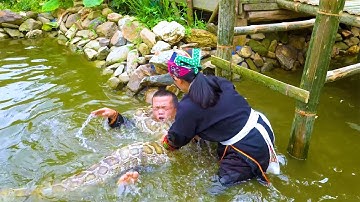 Dwarf Family Ambushed by Giant Python While Building Bamboo Bridge