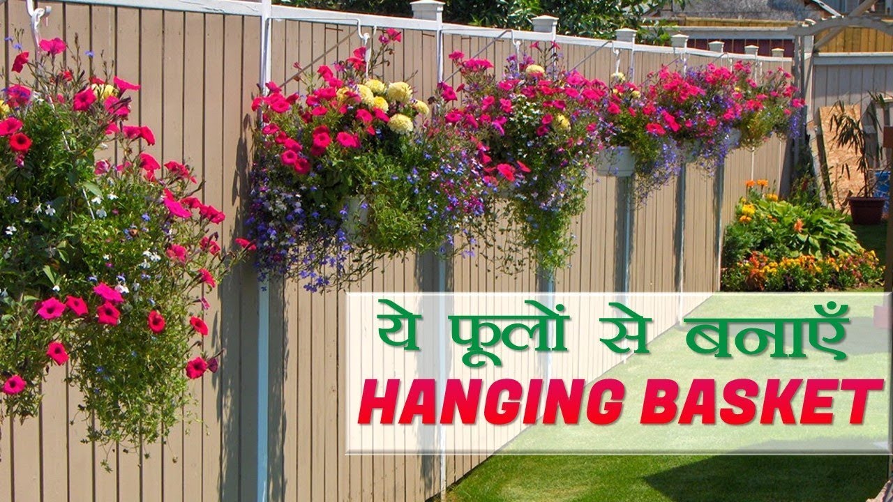 ये फूलों से बनायें हैंगिंग बास्केट || Beautiful Hanging Basket Flowers