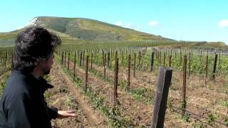 Winemaker Sashi Moorman at ELV seedling project