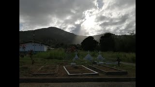 Celia Florence Harnanan - Internment - Livestream