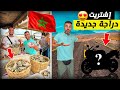 العيش الحر إشترية دراجة نارية جديدة دوزة بها يوم رائع كليت أغرب كائن بحري