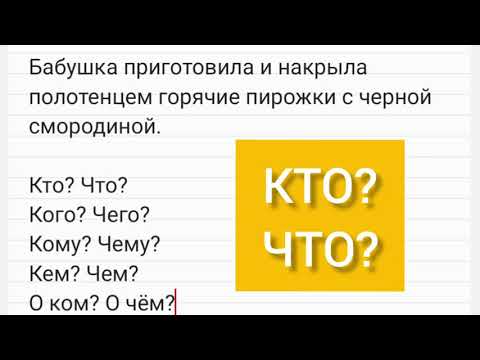 Слова - ответы на вопросы Кто? Что?