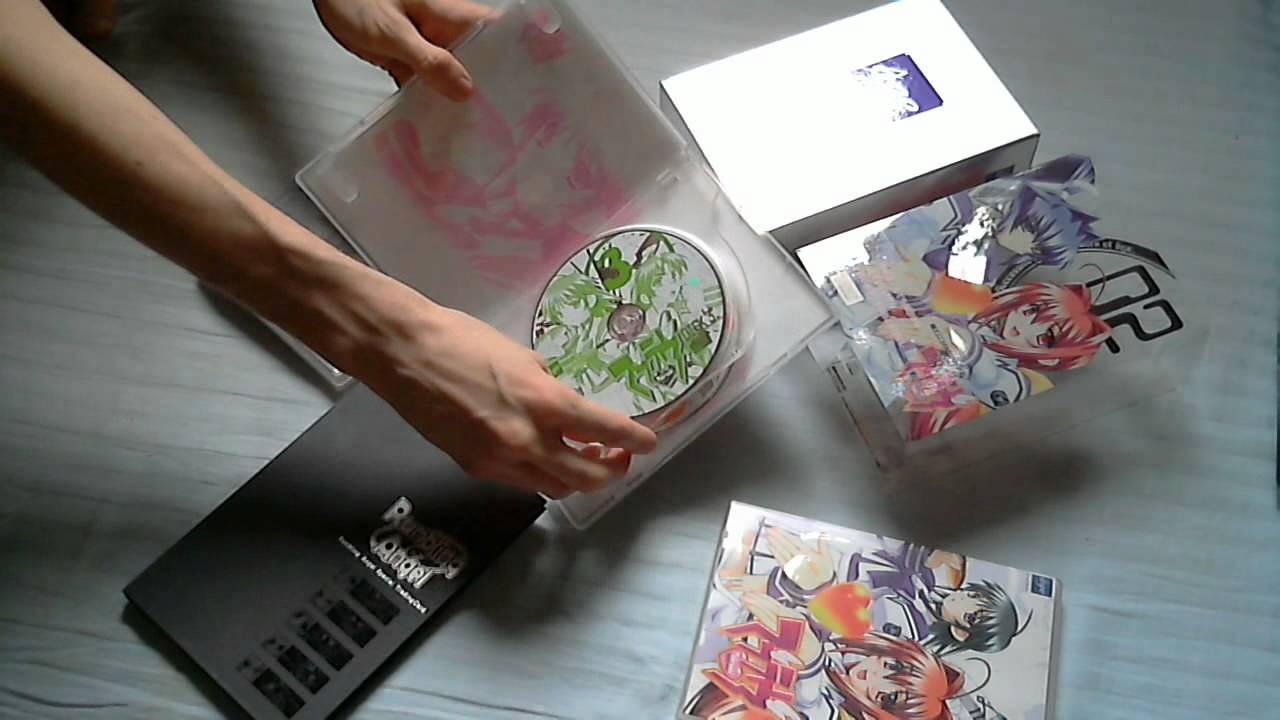 Unboxing 1 (Muv-Luv game & figures)