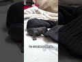 nutty nutty dance