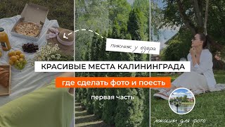 Красивые места Калининграда | Прогулка по Калининграду | Где поесть и погулять в Калининграде | ВЛОГ