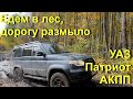 УАЗ АКПП и УАЗ МКПП в лесу. Кто за грязью, кто за грибами!