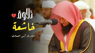 أجمل وأروع التلاوات - بصوت الشيخ أنس العمادي 1447 هـ