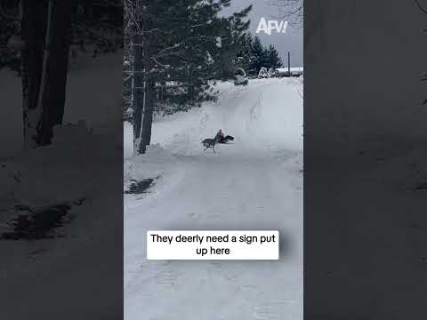 They deerly need to put a sign up here