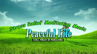 Beautiful Mind Relaxing Music, Calming Music, Stress Relief Music, Soul Healing - By Peaceful Life