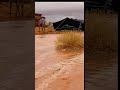أمطار شقري 1442 6 22عام
