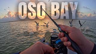 Oso Bay Kayak Fishing Explodes Into Action | Birds EVERYWHERE!