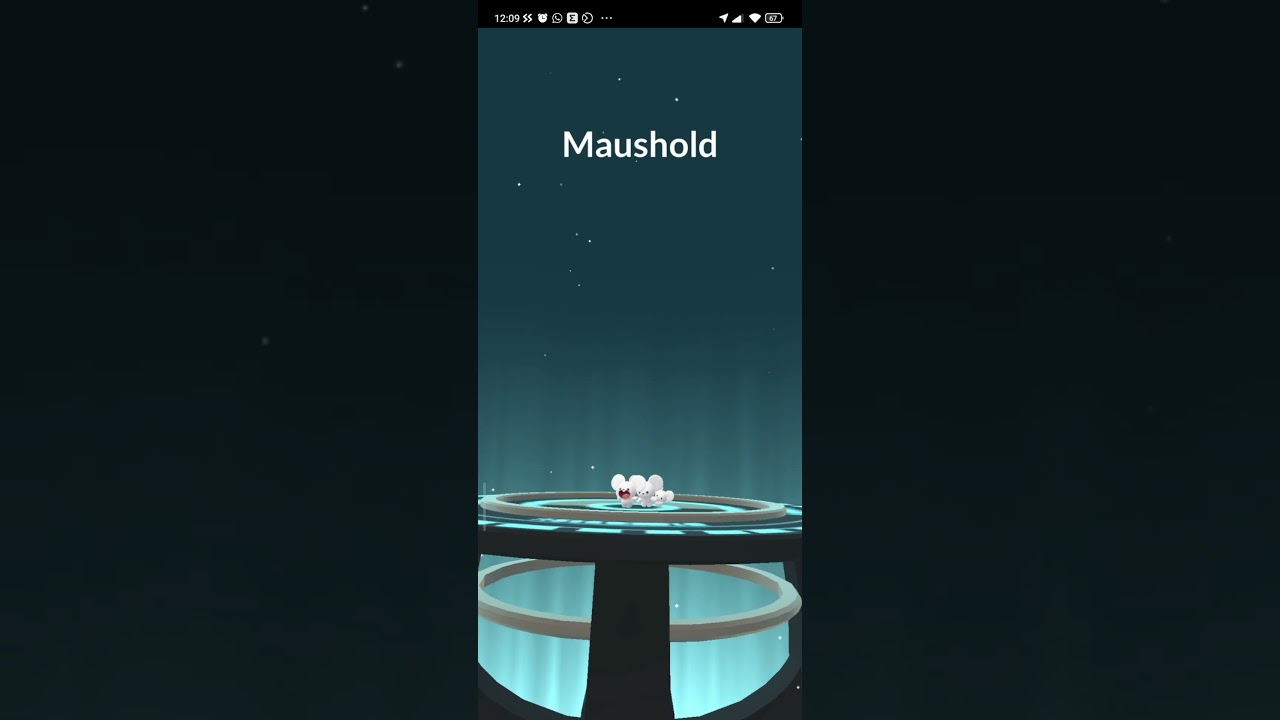 Tandemaus Moushold Evolution 