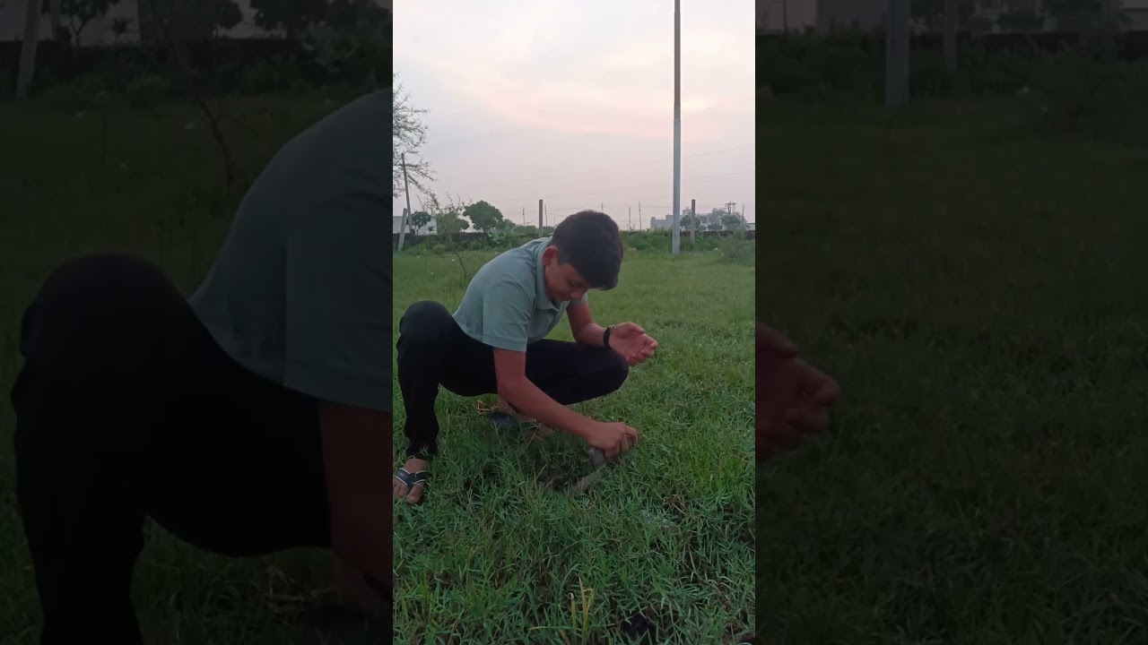 Day 62 of planting 10 lakh trees 🌴