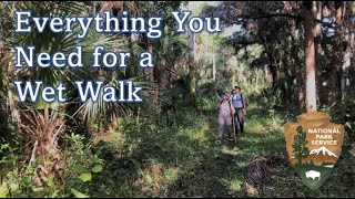 Everything You Need For A Wet Walk - Big Cypress National Preserve