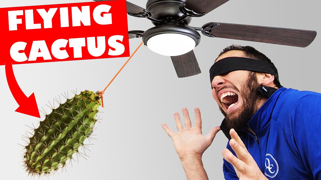 TikTok Water Bottle Challenge But With CACTUS! YouTube