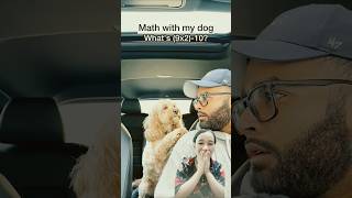 Celebrity Mini Cockapoo Has to Think Hard About This Math Question 😳 #funny #short #funnyshorts Profile