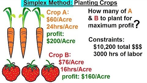 Business Math - The Simplex Method (6 of 15) Standard Maximization Problem - Planting Crops