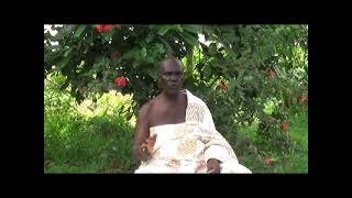 health benefit of prekese plant with Agya Kwame Frimpong Manso Adakabre