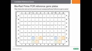 Learn Why You Might Be One of the 90% Using Unsuitable qPCR Reference Genes