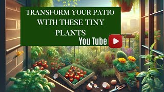 Transform Your Patio with These Tiny Power Plants! by Auyanna Plants 622 views 6 days ago 8 minutes, 30 seconds
