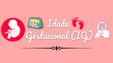 Como calcular a IG?