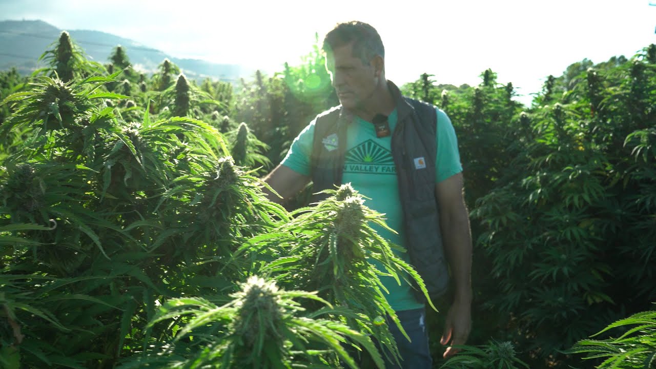 The Harvest Begins at Fern Valley Farms!