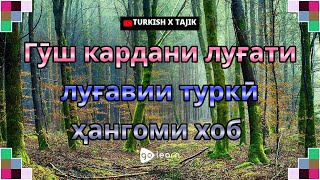 Гӯш кардани луғати луғавии туркӣ ҳангоми хоб | Golearn