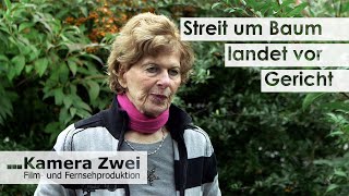 Nachbarschaftsstreit wegen Baum: Rentnerin muss 111.000 Euro zahlen | Kamera Zwei