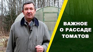 ПОЧЕМУ РАССАДА ТОМАТОВ ВЫТЯГИВАЕТСЯ И КАК ЭТОГО ИЗБЕЖАТЬ? | Природа будущего