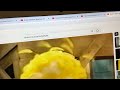 DRUM… loudly elmo like this!