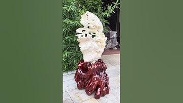 CÁ CHÉP VƯỢT VŨ MÔN ( VỎ SÒ HÓA THẠCH HÀNG NGHÌN NĂM TUỔI )