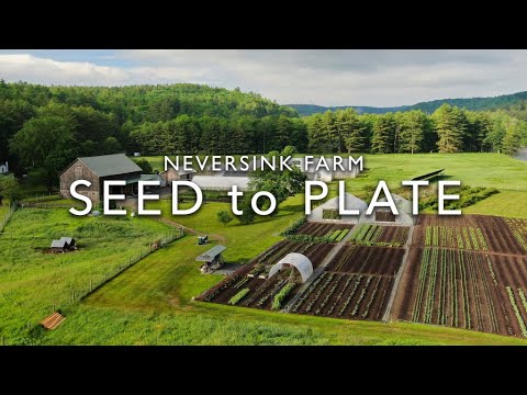 Seed to Plate - New Series Trailer - Presented by Neversink Farm - YouTube