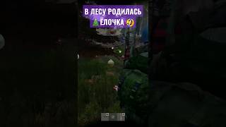 НОВЫЙ ГОД В ДЕРЕВНЕ #dayzrp #угар #приколы