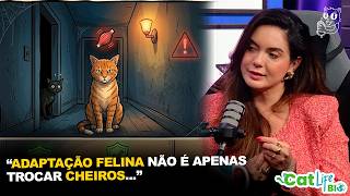 A CHAVE PARA UMA BOA ADAPTAÇÃO FELINA