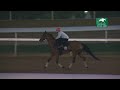 Vahva (outside) works at Keeneland - October 24, 2025