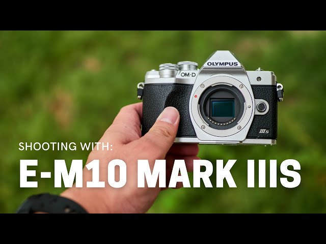 Can Olympus OM D E M Mark IIIs Perform In Professional Shoots