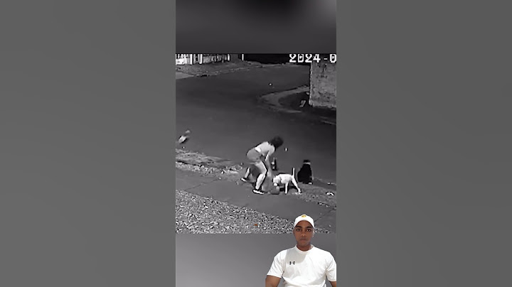Mujer defendiendo a su mascota de otros perros   #pitbull  #mascotas